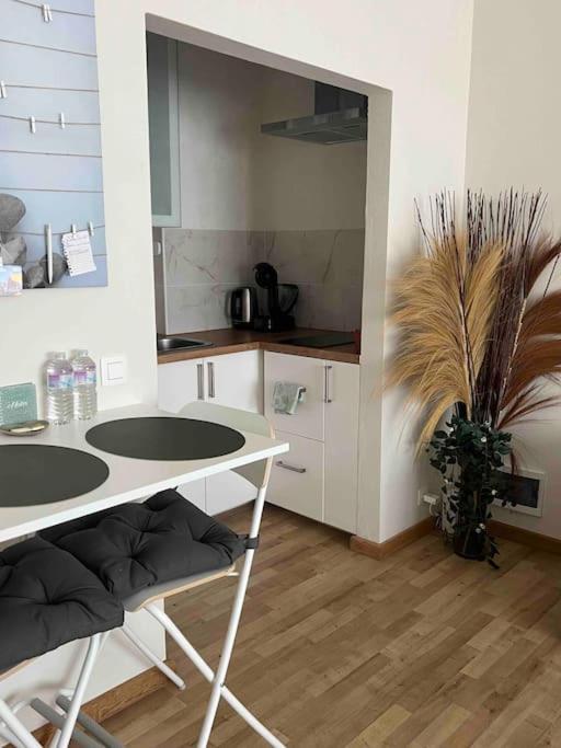Apartament Belgielei 94 Antwerpia Zewnętrze zdjęcie