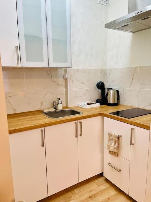 Apartament Belgielei 94 Antwerpia Zewnętrze zdjęcie