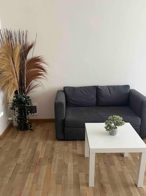 Apartament Belgielei 94 Antwerpia Zewnętrze zdjęcie